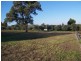 Lot 61 Kelman Estate, Pokolbin NSW 2320