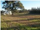 Lot 61 Kelman Estate, Pokolbin NSW 2320