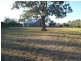 Lot 61 Kelman Estate, Pokolbin NSW 2320