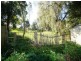 14 Progress Place, Garden Suburb NSW 2289