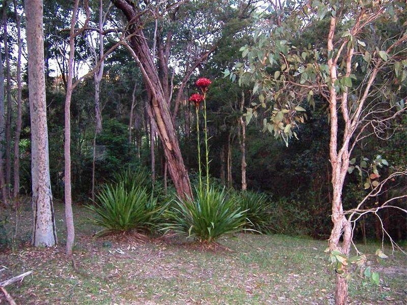 106 Harris Street, Cameron Park NSW 2285