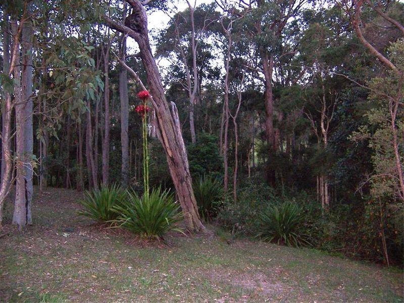 106 Harris Street, Cameron Park NSW 2285