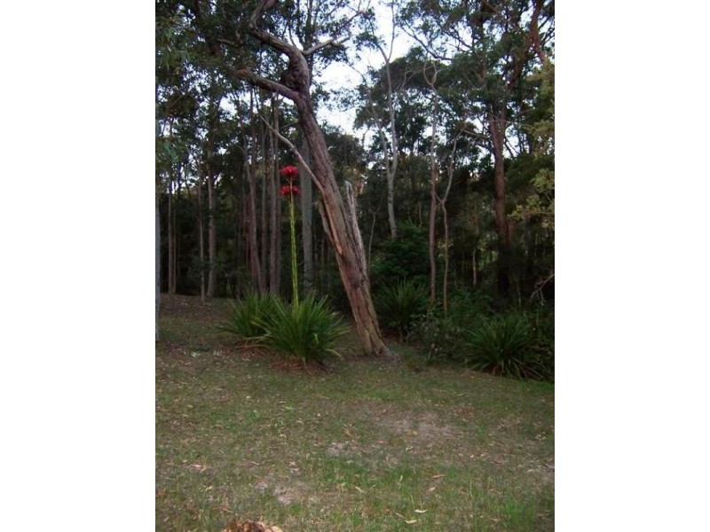 106 Harris Street, Cameron Park NSW 2285