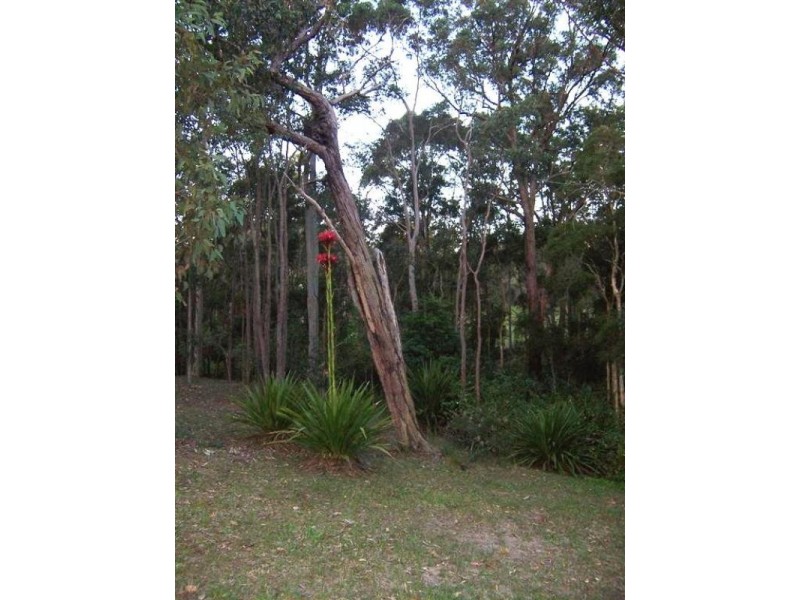 106 Harris Street, Cameron Park NSW 2285