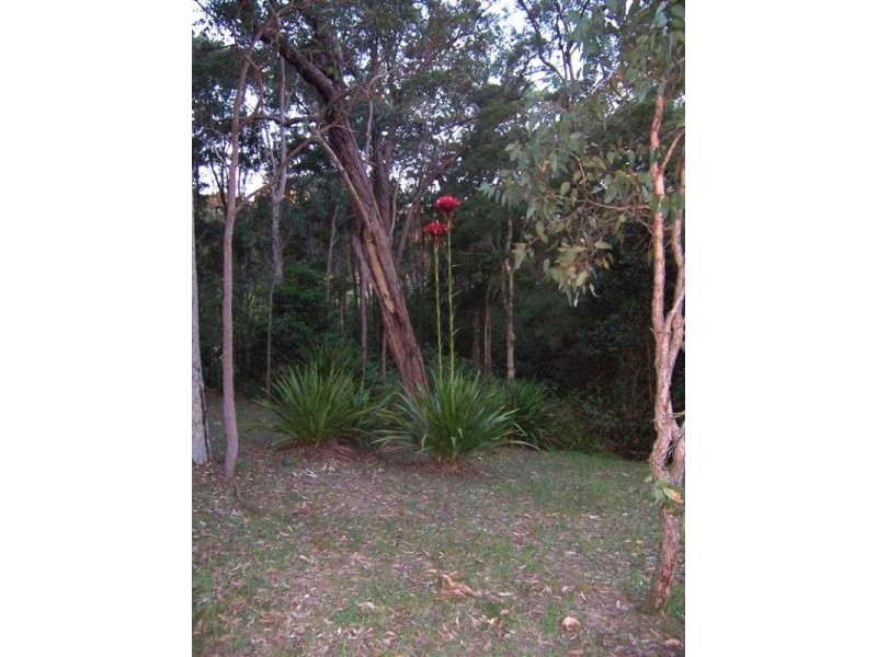 106 Harris Street, Cameron Park NSW 2285