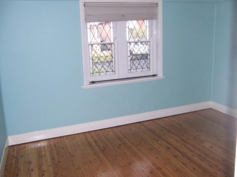 119 Lindsay Street, Hamilton NSW 2303