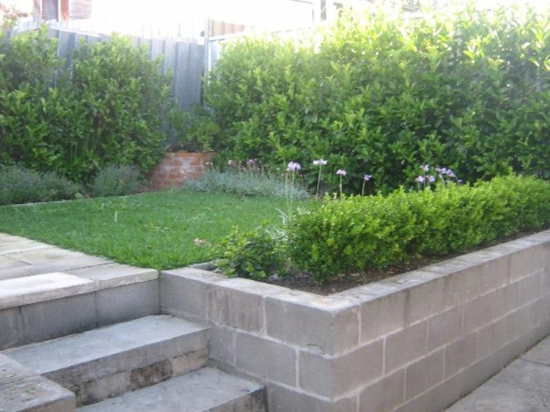 12 Thomas Street, Dudley NSW 2290