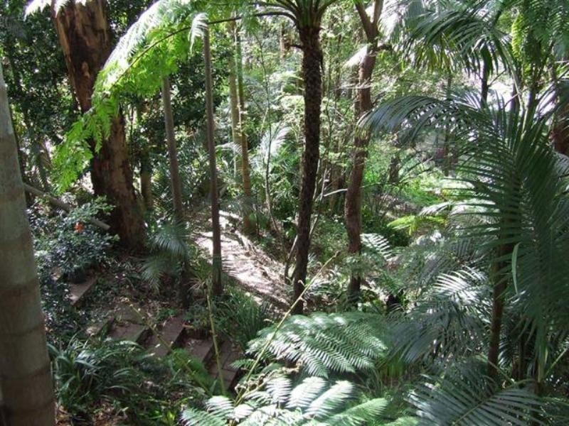 20 Summer Place, Merewether Heights NSW 2291