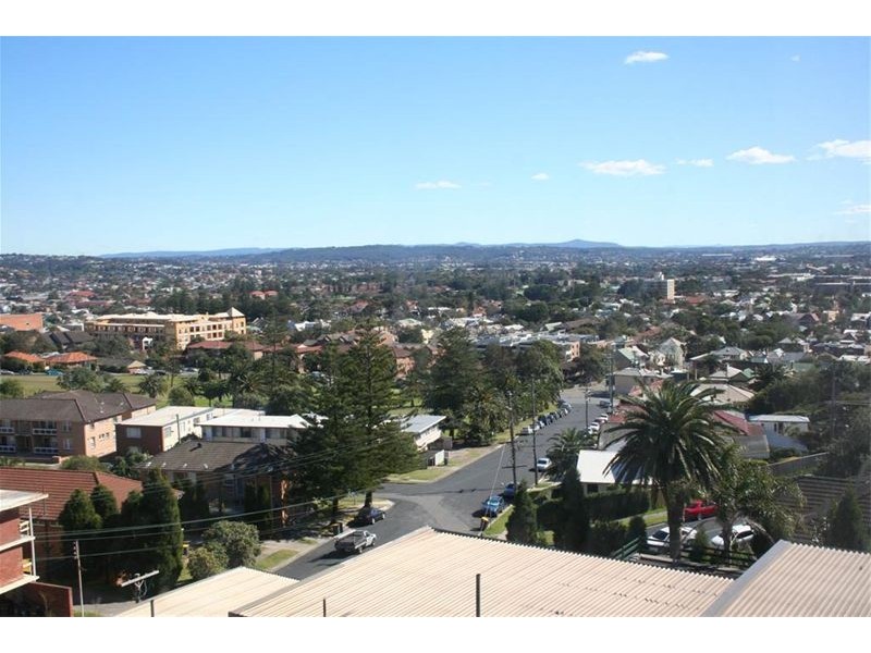 42 Lemnos Parade, The Hill NSW 2300