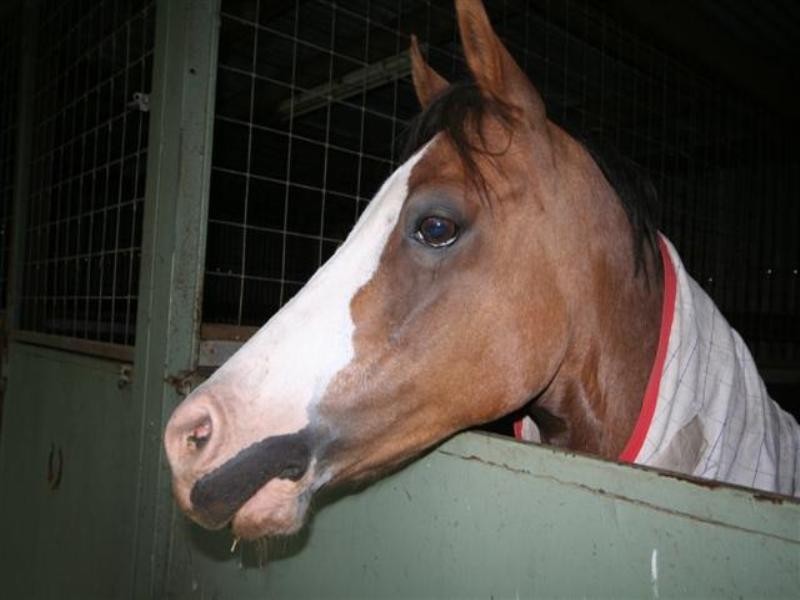 40 Seaham Street, Holmesville NSW 2286