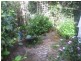 21 Alfred Street, Newcastle NSW 2300