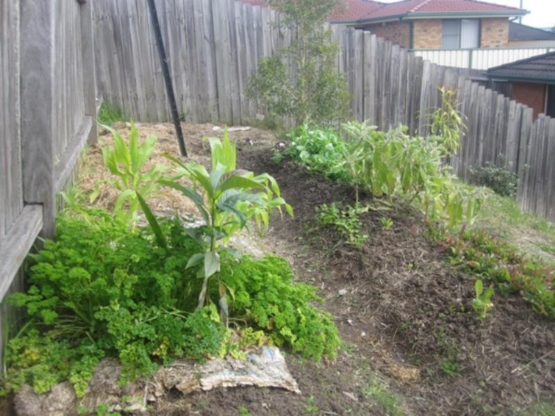 1/4 Simpson Court, Mayfield NSW 2304