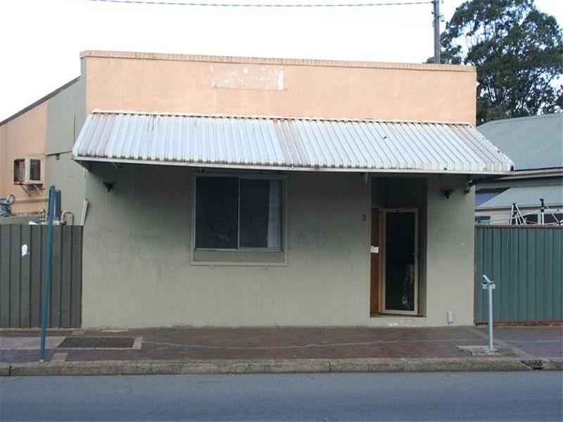 3 Hanbury Street, Mayfield NSW 2304