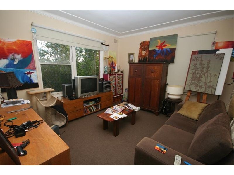 38 Nesca Parade, The Hill NSW 2300