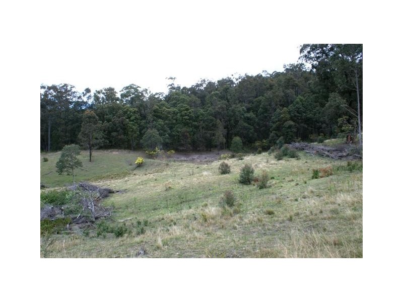Lot 5,7,8,9,10 Lings Road, Buttai NSW 2323
