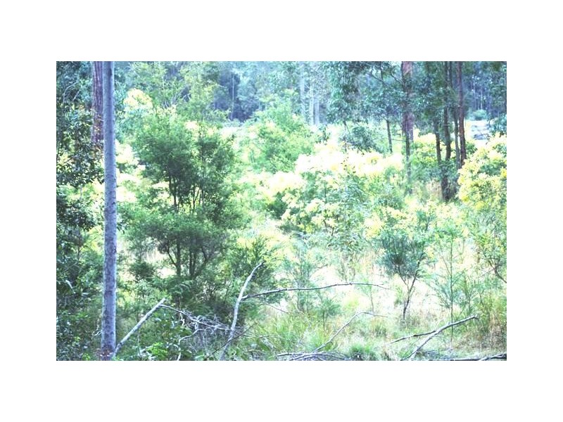 Lot 5,7,8,9,10 Lings Road, Buttai NSW 2323