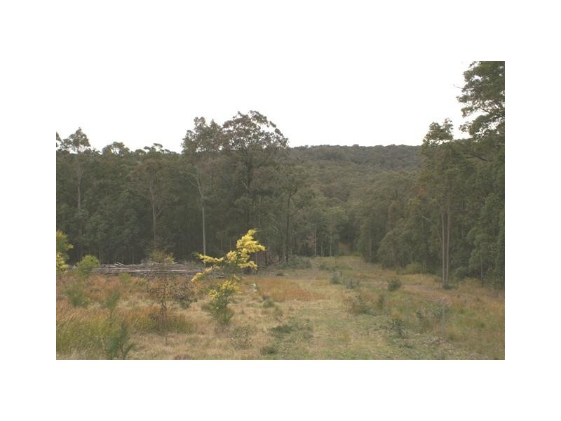Lot 5,7,8,9,10 Lings Road, Buttai NSW 2323