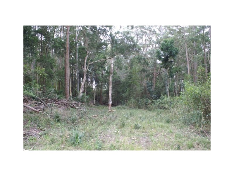 Lot 5,7,8,9,10 Lings Road, Buttai NSW 2323
