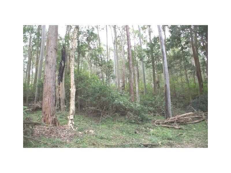 Lot 5,7,8,9,10 Lings Road, Buttai NSW 2323