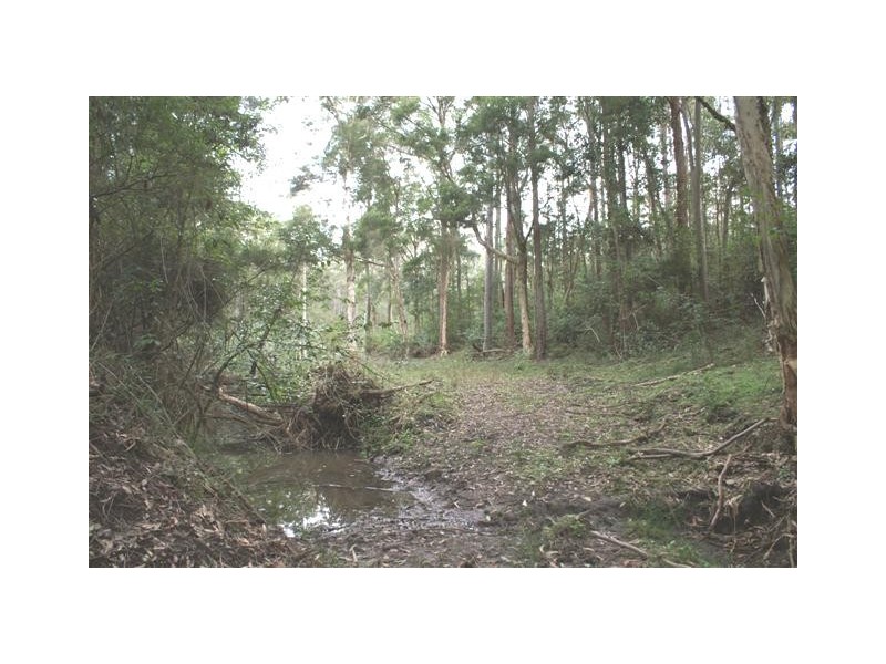 Lot 5,7,8,9,10 Lings Road, Buttai NSW 2323