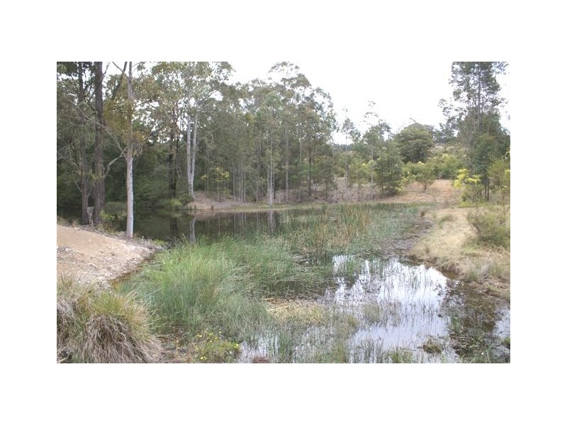 Lot 5,7,8,9,10 Lings Road, Buttai NSW 2323