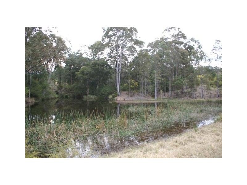 Lot 5,7,8,9,10 Lings Road, Buttai NSW 2323