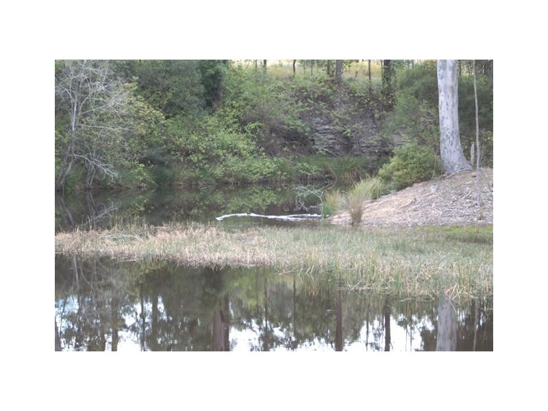 Lot 5,7,8,9,10 Lings Road, Buttai NSW 2323