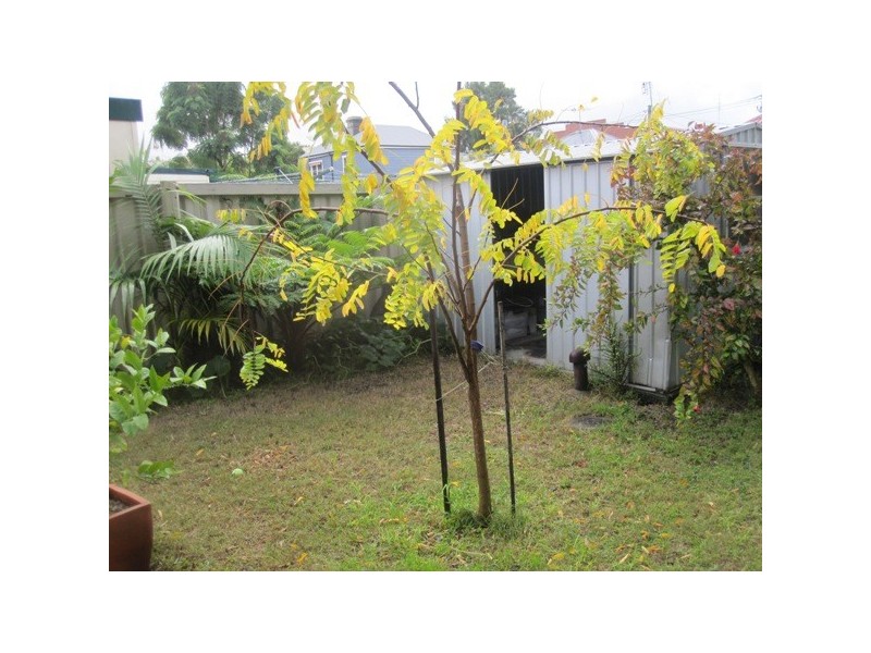 88 Wilson Street, Carrington NSW 2294