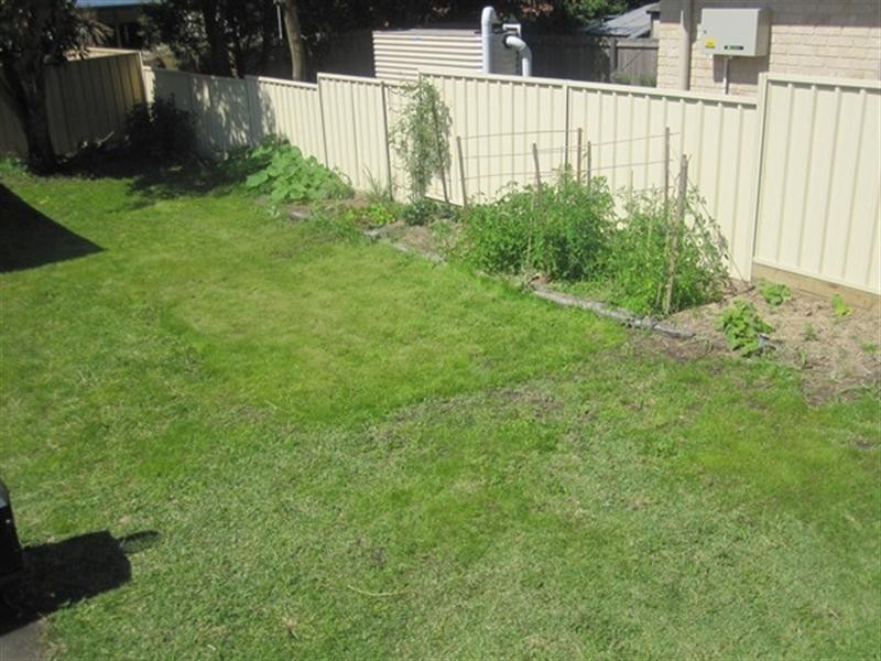 33 Dawson Street, Waratah NSW 2298