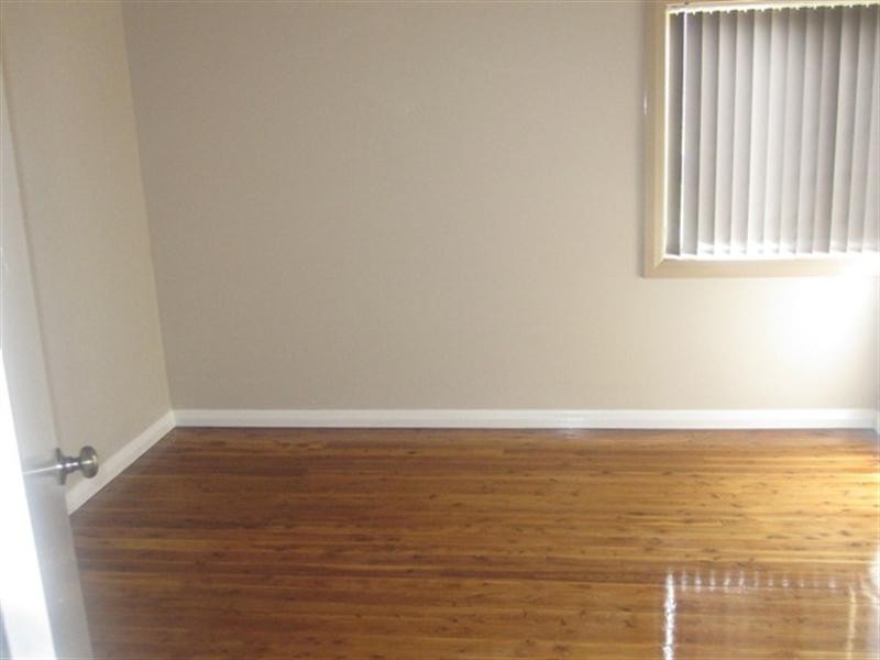 105 Lorna Street, Waratah West NSW 2298