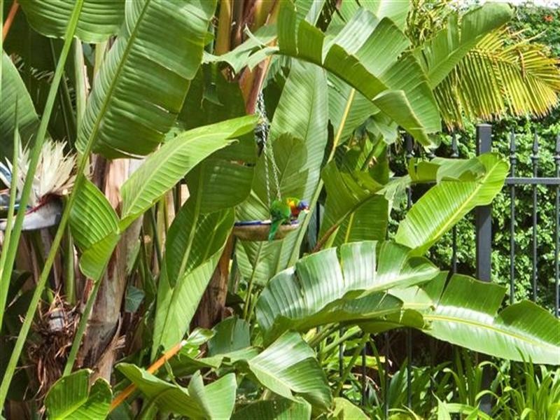 1 Neal Close, Minmi NSW 2287