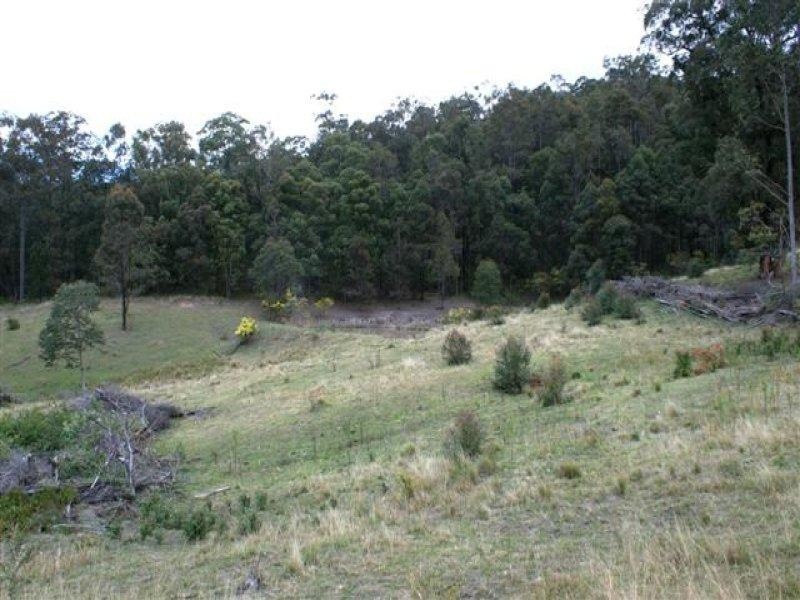 Lots 5, 7, 8, 9, 11 Lings Road, Buttai NSW 2323