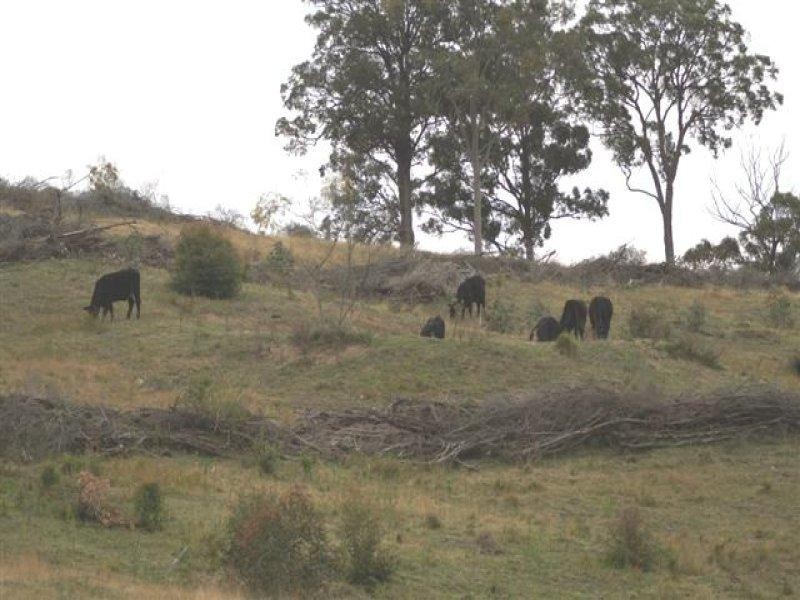 Lots 5, 7, 8, 9, 11 Lings Road, Buttai NSW 2323