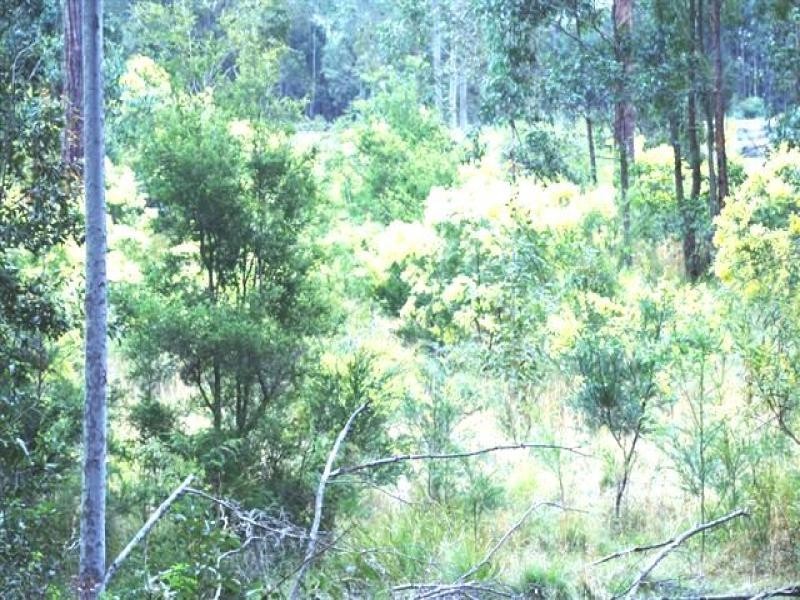 Lots 5, 7, 8, 9, 11 Lings Road, Buttai NSW 2323