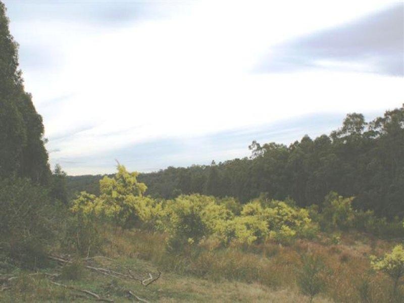 Lots 5, 7, 8, 9, 11 Lings Road, Buttai NSW 2323