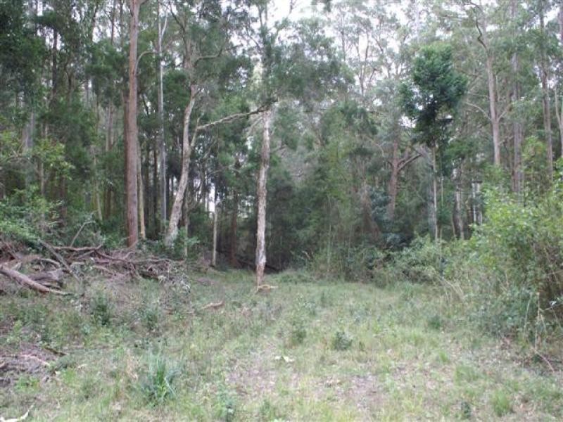 Lots 5, 7, 8, 9, 11 Lings Road, Buttai NSW 2323