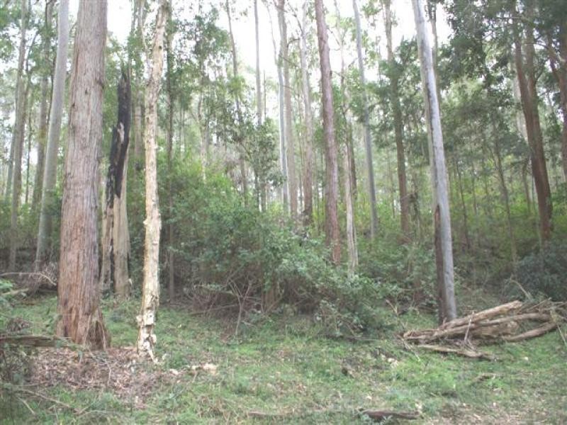 Lots 5, 7, 8, 9, 11 Lings Road, Buttai NSW 2323