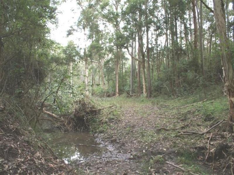 Lots 5, 7, 8, 9, 11 Lings Road, Buttai NSW 2323