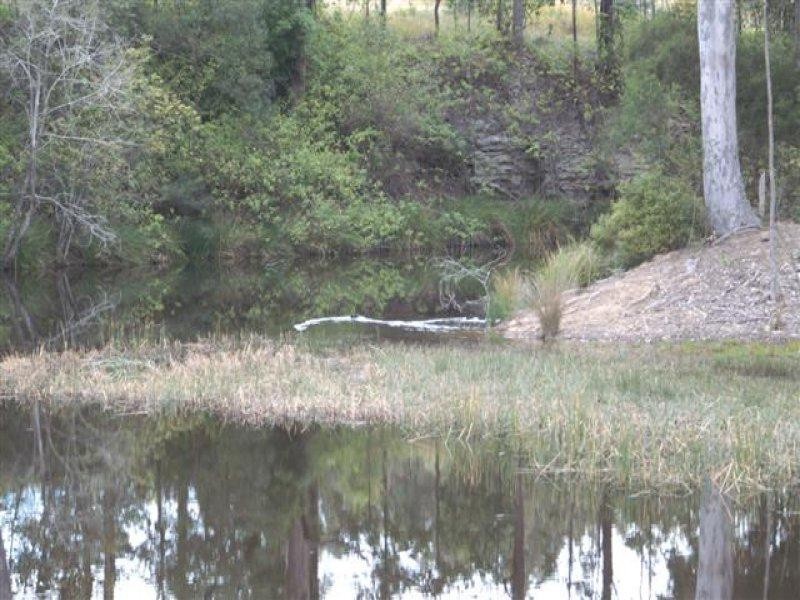 Lots 5, 7, 8, 9, 11 Lings Road, Buttai NSW 2323