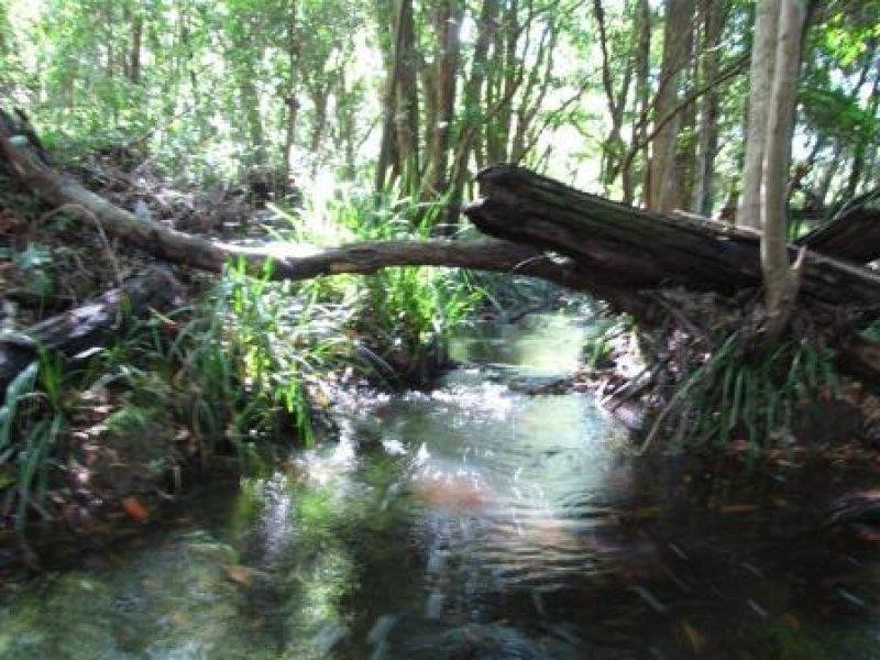 Boolambayte NSW 2423