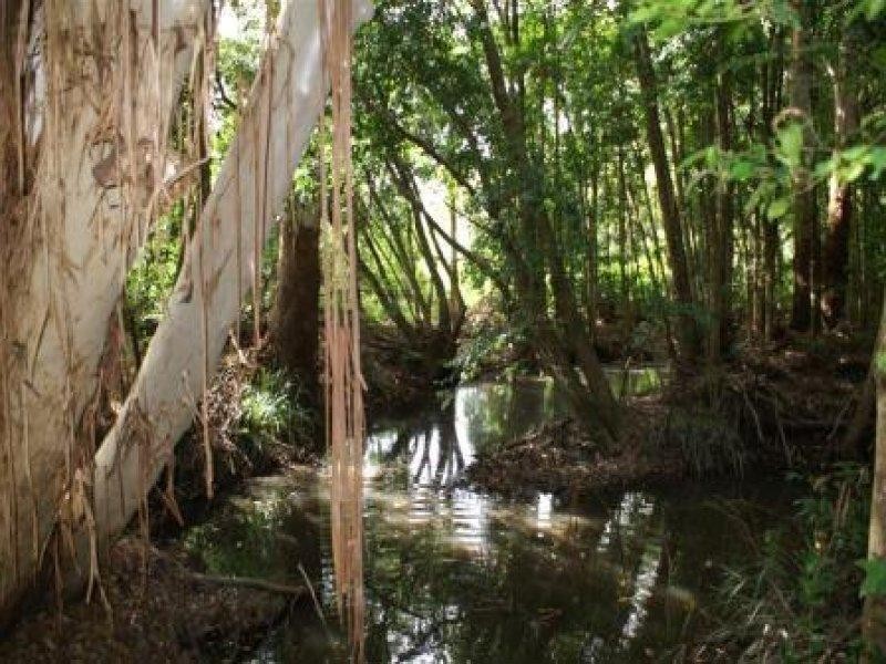 Boolambayte NSW 2423