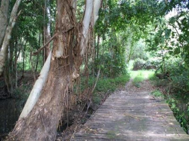 Boolambayte NSW 2423