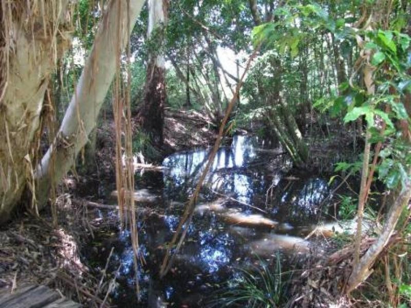 Boolambayte NSW 2423