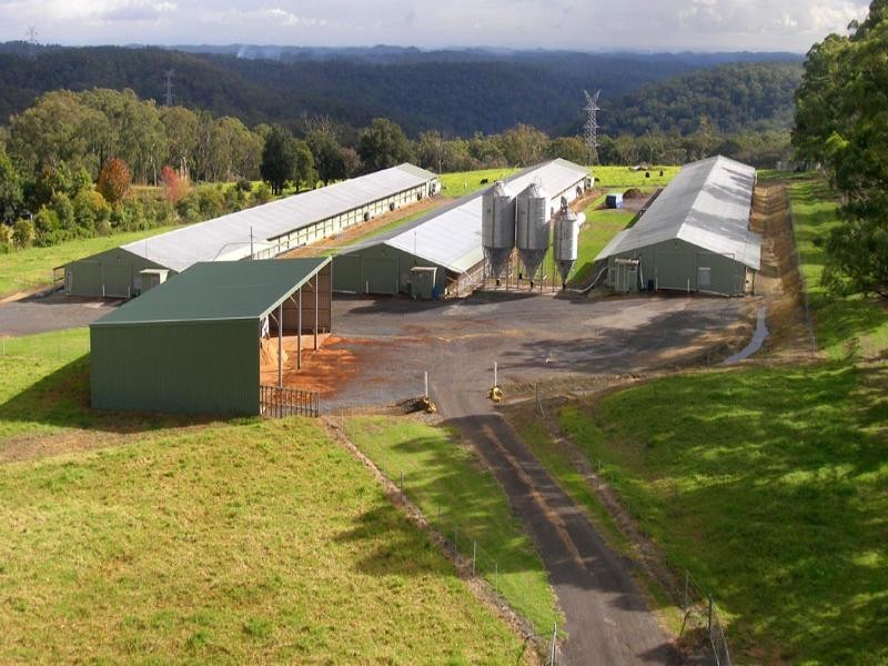 Central Mangrove NSW 2250