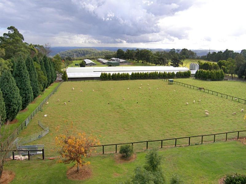 Central Mangrove NSW 2250