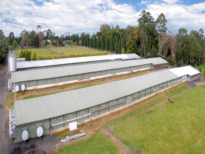 Central Mangrove NSW 2250