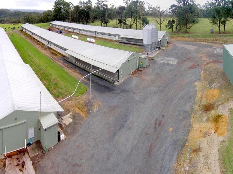 Central Mangrove NSW 2250