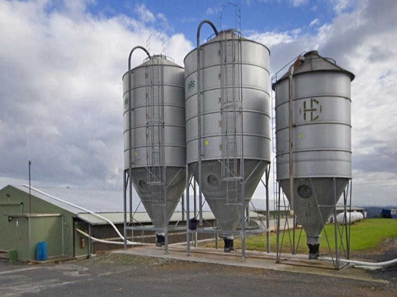 Central Mangrove NSW 2250