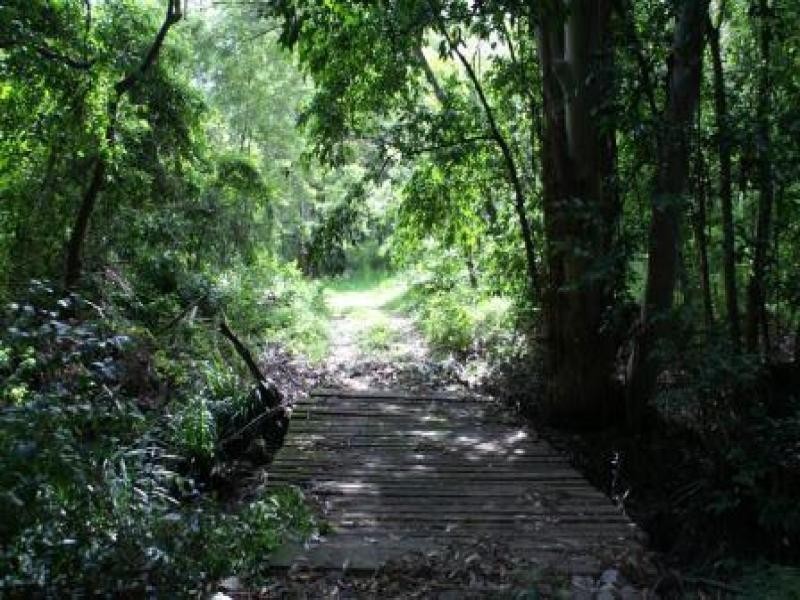 Boolambayte NSW 2423