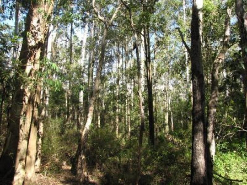 Boolambayte NSW 2423